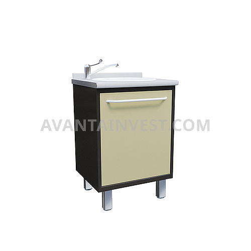 Module with acrylic sink, mixer and waste basket