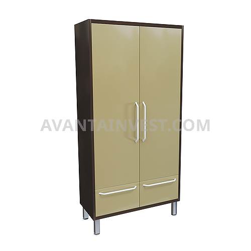 Wardrobe with 2 doors, 2 drawers and a hanger bar