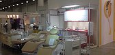 Exhibitions