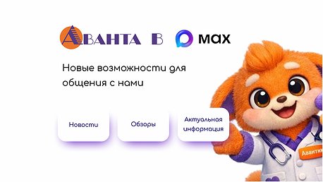 Официальный канал в «Максе»