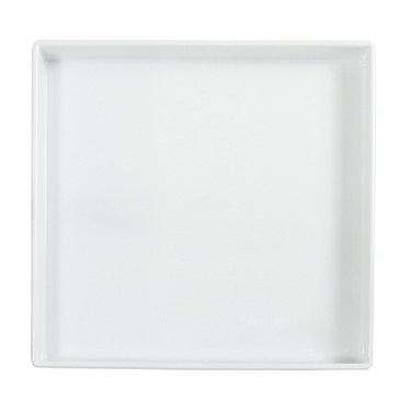 Plastic tray V-1 Plastic tray V-1