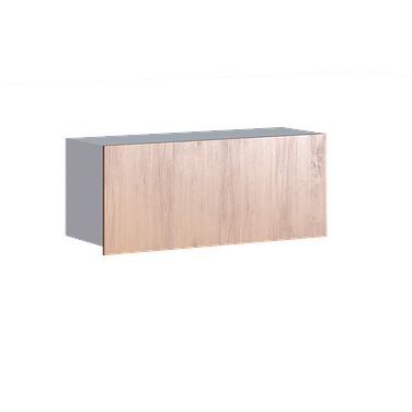 Pendant cabinet with bottom illuminated door, shelf